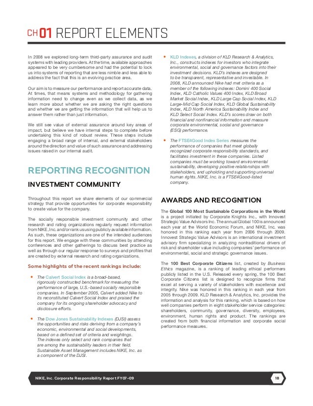nike company report