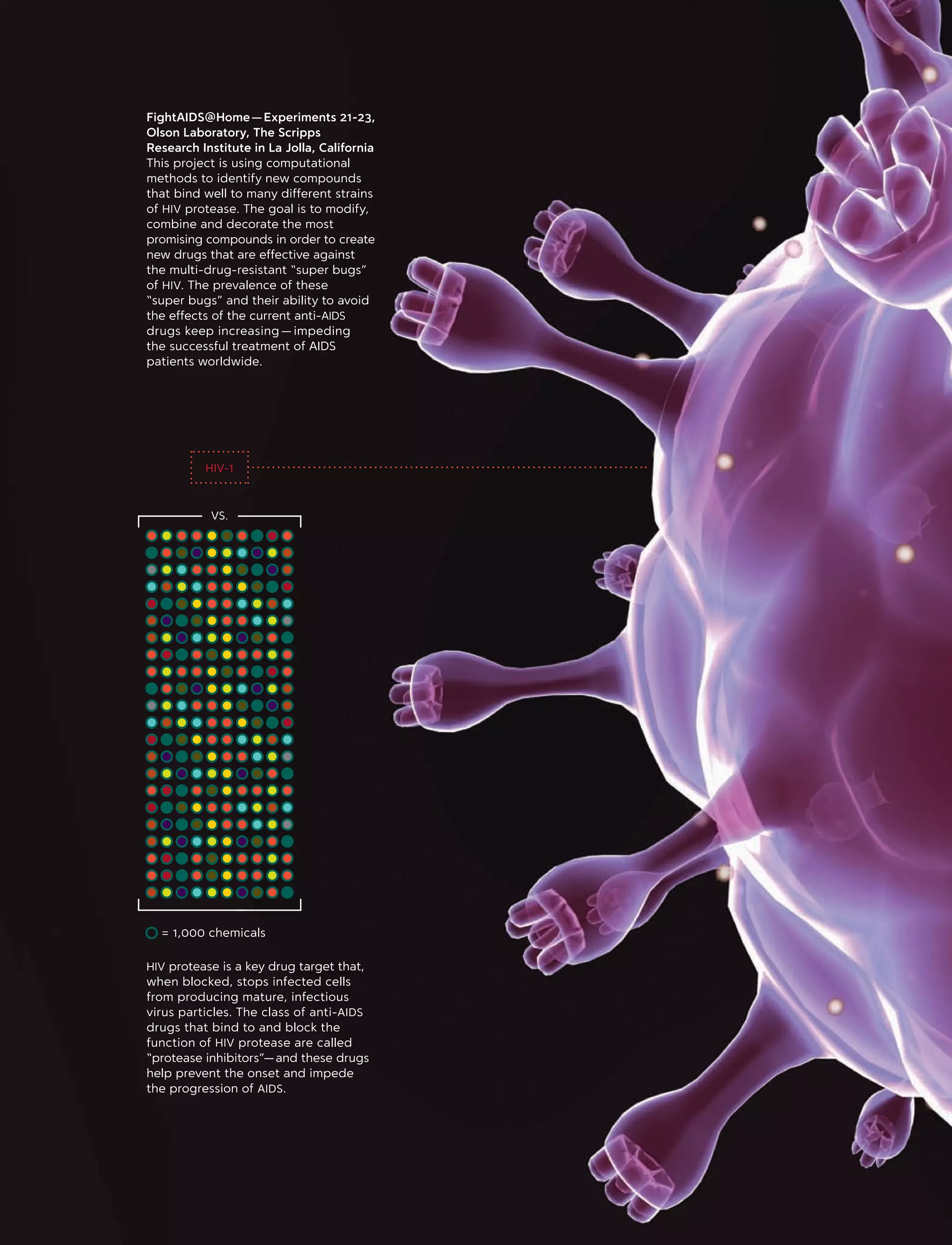 HIV-1
HIV protease is a key drug target that,
when blocked, stops infected cells
from producing mature, infectious
virus particles. The class of anti-AIDS
drugs that bind to and block the
function of HIV protease are called
“protease inhibitors” — and these drugs
help prevent the onset and impede
the progression of AIDS.
= 1,000 chemicals
VS.
FightAIDS@Home — Experiments 21-23,
Olson Laboratory, The Scripps
Research Institute in La Jolla, California
This project is using computational
methods to identify new compounds
that bind well to many different strains
of HIV protease. The goal is to modify,
combine and decorate the most
promising compounds in order to create
new drugs that are effective against
the multi-drug-resistant “super bugs”
of HIV. The prevalence of these
“super bugs” and their ability to avoid
the effects of the current anti-AIDS
drugs keep increasing — impeding
the successful treatment of AIDS
patients worldwide.
 