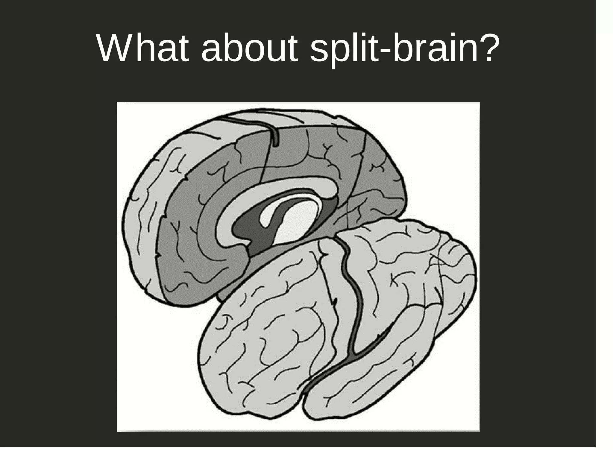 What about split­brain? 