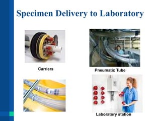 Specimen Delivery to Laboratory
Laboratory station
Carriers Pneumatic Tube
 