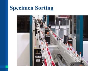 Specimen Sorting
 
