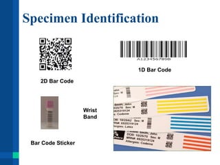 Specimen Identification
2D Bar Code
1D Bar Code
Wrist
Band
Bar Code Sticker
 