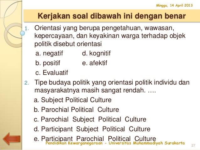 political culture Participant