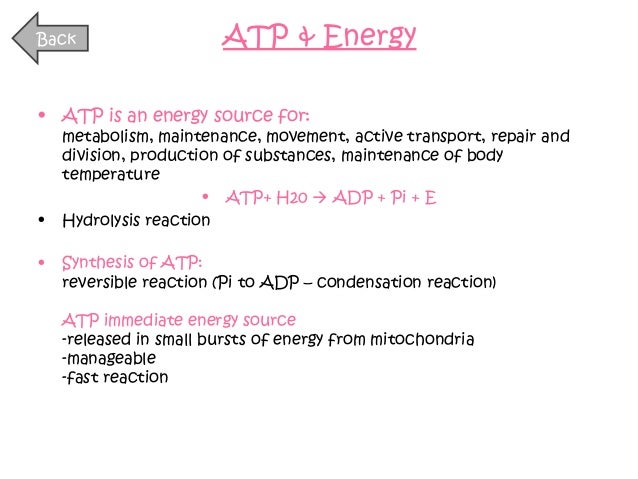 full biology unit 4 powerpoint full form of atp in biology