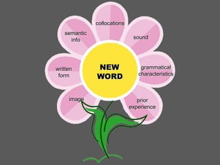 collocations
semantic
info

written
form

image

sound

NEW
WORD

grammatical
characteristics

prior
experience

 
