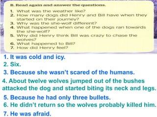 1. It was cold and icy.
2. Six.
3. Because she wasn’t scared of the humans.
4. About twelve wolves jumped out of the bushes
attacked the dog and started biting its neck and legs.
5. Because he had only three bullets.
6. He didn’t return so the wolves probably killed him.
7. He was afraid.