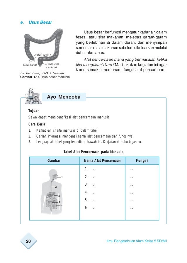Fullbook Ipa Sdmikelas5