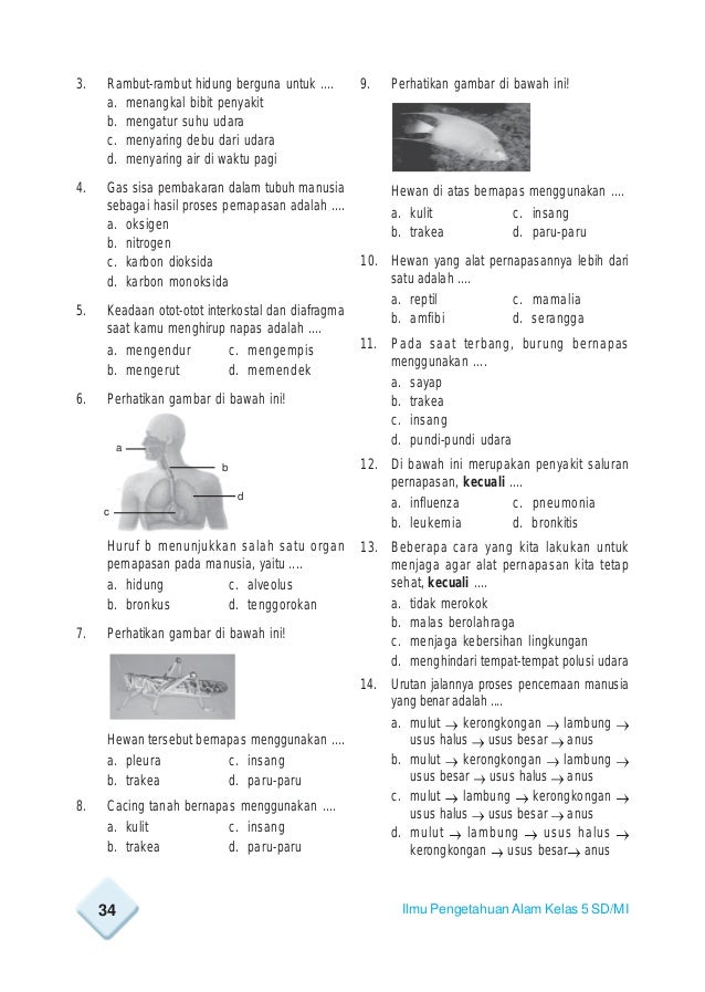 Fullbook Ipa Sd Mi Kelas 5