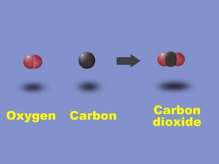 Carbon dioxide Oxygen Carbon 
