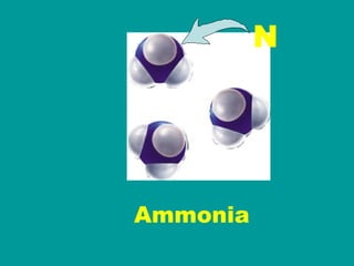 Ammonia N 