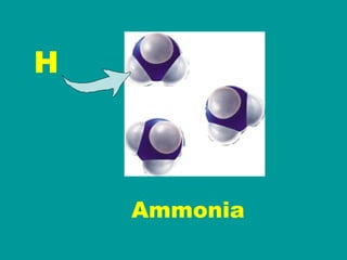 Ammonia H 