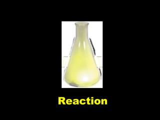 Reaction 