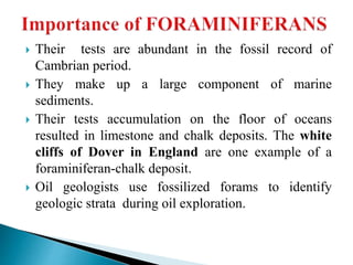  Their tests are abundant in the fossil record of
Cambrian period.
 They make up a large component of marine
sediments.
 Their tests accumulation on the floor of oceans
resulted in limestone and chalk deposits. The white
cliffs of Dover in England are one example of a
foraminiferan-chalk deposit.
 Oil geologists use fossilized forams to identify
geologic strata during oil exploration.
 