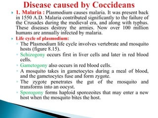  1. Malaria : Plasmodium causes malaria. It was present back
in 1550 A.D. Malaria contributed significantly to the failure of
the Crusades during the medieval era, and along with typhus.
These diseases destroy the armies. Now over 100 million
humans are annually infected by malaria.
 Life cycle of plasmodium:
◦ The Plasmodium life cycle involves vertebrate and mosquito
hosts (figure 8.15).
◦ Schizogony occurs first in liver cells and later in red blood
cells.
◦ Gametogony also occurs in red blood cells.
◦ A mosquito takes in gametocytes during a meal of blood,
and the gametocytes fuse and form zygote.
◦ The zygote penetrates the gut of the mosquito and
transforms into an oocyst.
◦ Sporogony forms haploid sporozoites that may enter a new
host when the mosquito bites the host.
 
