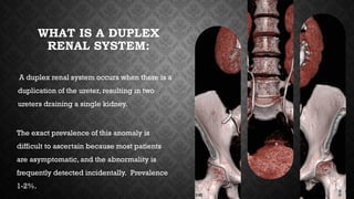 WHAT IS A DUPLEX
RENAL SYSTEM:
A duplex renal system occurs when there is a
duplication of the ureter, resulting in two
ureters draining a single kidney.
The exact prevalence of this anomaly is
difficult to ascertain because most patients
are asymptomatic, and the abnormality is
frequently detected incidentally. Prevalence
1-2%.
 