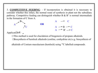 3. COMPETITIVE FEEDING: - If incorporation is obtained it is necessary to 
consider whether this infact, the normal route of synthesis in plant not the subsidiary 
pathway. Competitive feeding can distinguish whether B & B’ is normal intermediate 
in the formation of C from A. 
B 
OR 
A C 
A 
C A B C 
Application:B'- 
A B' C 
This method is used for elucidation of biogenesis of propane alkaloids. 
Biosynthesis of hemlock alkaloids (conline, conhydrine etc) e.g. biosynthesis of 
alkaloids of Conium maculactum (hemlock) using 14C labelled compounds. 
 