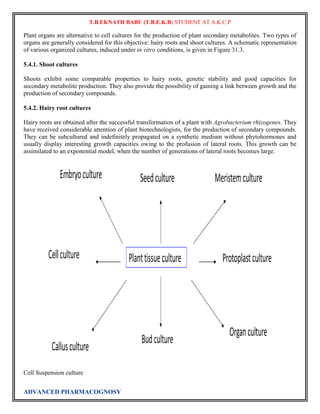T.B.EKNATH BABU (T.B.E.K.B) STUDENT AT A.K.C.P 
Plant organs are alternative to cell cultures for the production of plant secondary metabolites. Two types of 
organs are generally considered for this objective: hairy roots and shoot cultures. A schematic representation 
of various organized cultures, induced under in vitro conditions, is given in Figure 31.3. 
5.4.1. Shoot cultures 
Shoots exhibit some comparable properties to hairy roots, genetic stability and good capacities for 
secondary metabolite production. They also provide the possibility of gaining a link between growth and the 
production of secondary compounds. 
5.4.2. Hairy root cultures 
Hairy roots are obtained after the successful transformation of a plant with Agrobacterium rhizogenes. They 
have received considerable attention of plant biotechnologists, for the production of secondary compounds. 
They can be subcultured and indefinitely propagated on a synthetic medium without phytohormones and 
usually display interesting growth capacities owing to the profusion of lateral roots. This growth can be 
assimilated to an exponential model, when the number of generations of lateral roots becomes large. 
Cell Suspension culture 
ADVANCED PHARMACOGNOSY 
 