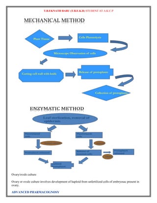 T.B.EKNATH BABU (T.B.E.K.B) STUDENT AT A.K.C.P 
Ovary/ovule culture 
Ovary or ovule culture involves development of haploid from unfertilized cells of embryosac present in 
ovary. 
ADVANCED PHARMACOGNOSY 
 