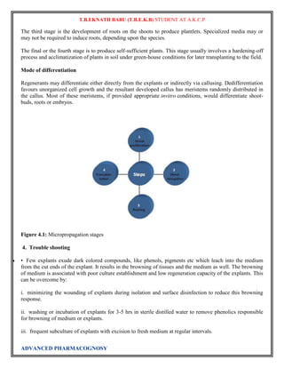 T.B.EKNATH BABU (T.B.E.K.B) STUDENT AT A.K.C.P 
The third stage is the development of roots on the shoots to produce plantlets. Specialized media may or 
may not be required to induce roots, depending upon the species. 
The final or the fourth stage is to produce self-sufficient plants. This stage usually involves a hardening-off 
process and acclimatization of plants in soil under green-house conditions for later transplanting to the field. 
Mode of differentiation 
Regenerants may differentiate either directly from the explants or indirectly via callusing. Dedifferentiation 
favours unorganized cell growth and the resultant developed callus has meristems randomly distributed in 
the callus. Most of these meristems, if provided appropriate invitro conditions, would differentiate shoot-buds, 
roots or embryos. 
Figure 4.1: Micropropagation stages 
4. Trouble shooting 
 • Few explants exude dark colored compounds, like phenols, pigments etc which leach into the medium 
from the cut ends of the explant. It results in the browning of tissues and the medium as well. The browning 
of medium is associated with poor culture establishment and low regeneration capacity of the explants. This 
can be overcome by: 
i. minimizing the wounding of explants during isolation and surface disinfection to reduce this browning 
response. 
ii. washing or incubation of explants for 3-5 hrs in sterile distilled water to remove phenolics responsible 
for browning of medium or explants. 
iii. frequent subculture of explants with excision to fresh medium at regular intervals. 
ADVANCED PHARMACOGNOSY 
 