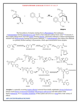 T.B.EKNATH BABU (T.B.E.K.B) STUDENT AT A.K.C.P 
The biosynthesis of atropine starting from L-Phenylalanine first undergoes 
a transamination forming phenylpyruvic acid which is then reduced to phenyl-lactic acid.[14] Coenzyme A 
then couples phenyl-lactic acid with tropine forming littorine, which then undergoes a radical rearrangement 
initiated with aP450 enzyme forming hyoscyamine aldehyde.[14] A dehydrogenase then reduces the aldehyde 
to a primary alcohol making (-)-hyoscamine, which upon racemization forms atropine. 
Atropine is a naturally occurring tropane alkaloid extracted from deadly nightshade (Atropa belladonna), 
Jimson weed (Datura stramonium),mandrake (Mandragora officinarum) and other plants of the 
family Solanaceae. It is a secondary metabolite of these plants and serves as a drugwith a wide variety of 
effects. 
ADVANCED PHARMACOGNOSY 
 