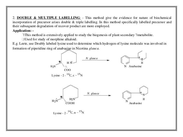 2. DOUBLE & MULTIPLE LABELLING: - This method give the evidence for nature of biochemical
incorporation of precursor aris...