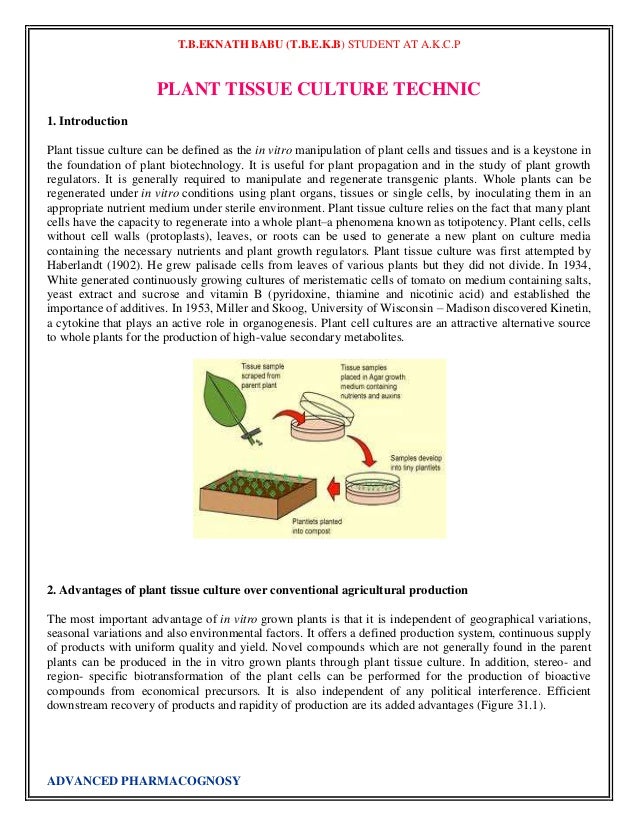 T.B.EKNATH BABU (T.B.E.K.B) STUDENT AT A.K.C.P
PLANT TISSUE CULTURE TECHNIC
1. Introduction
Plant tissue culture can be...
