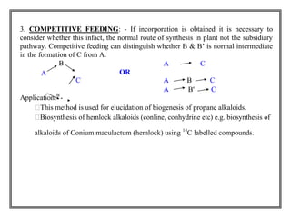 3. COMPETITIVE FEEDING: - If incorporation is obtained it is necessary to 
consider whether this infact, the normal route of synthesis in plant not the subsidiary 
pathway. Competitive feeding can distinguish whether B & B‟ is normal intermediate 
in the formation of C from A. 
B 
OR 
A C 
A 
C A B C 
Application:B'- 
A B' C 
This method is used for elucidation of biogenesis of propane alkaloids. 
Biosynthesis of hemlock alkaloids (conline, conhydrine etc) e.g. biosynthesis of 
alkaloids of Conium maculactum (hemlock) using 14C labelled compounds. 
 