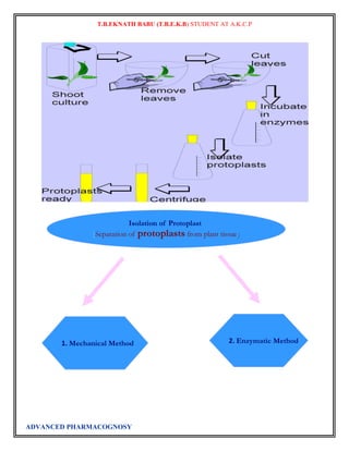T.B.EKNATH BABU (T.B.E.K.B) STUDENT AT A.K.C.P 
ADVANCED PHARMACOGNOSY 
 