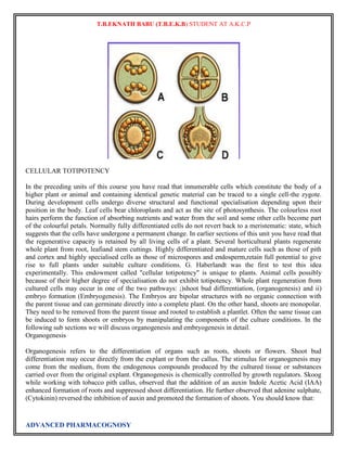 T.B.EKNATH BABU (T.B.E.K.B) STUDENT AT A.K.C.P 
CELLULAR TOTIPOTENCY 
In the preceding units of this course you have read that innumerable cells which constitute the body of a 
higher plant or animal and containing identical genetic material can be traced to a single cell-the zygote. 
During development cells undergo diverse structural and functional specialisation depending upon their 
position in the body. Leaf cells bear chloroplasts and act as the site of photosynthesis. The colourless root 
hairs perform the function of absorbing nutrients and water from the soil and some other cells become part 
of the colourful petals. Normally fully differentiated cells do not revert back to a meristematic: state, which 
suggests that the cells have undergone a permanent change. In earlier sections of this unit you have read that 
the regenerative capacity is retained by all living cells of a plant. Several horticultural plants regenerate 
whole plant from root, leafiand stem cuttings. Highly differentiated and mature cells such as those of pith 
and cortex and highly specialised cells as those of microspores and endosperm,retain full potential to give 
rise to full plants under suitable culture conditions. G. Haberlandt was the first to test this idea 
experimentally. This endowment called "cellular totipotency" is unique to plants. Animal cells possibly 
because of their higher degree of specialisation do not exhibit totipotency. Whole plant regeneration from 
cultured cells may occur in one of the two pathways: ;)shoot bud differentiation, (organogenesis) and ii) 
embryo formation (Embryogenesis). The Embryos are bipolar structures with no organic connection with 
the parent tissue and can germinate directly into a complete plant. On the other hand, shoots are monopolar. 
They need to be removed from the parent tissue and rooted to establish a plantlet. Often the same tissue can 
be induced to form shoots or embryos by manipulating the components of the culture conditions. In the 
following sub sections we will discuss organogenesis and embryogenesis in detail. 
Organogenesis 
Organogenesis refers to the differentiation of organs such as roots, shoots or flowers. Shoot bud 
differentiation may occur directly from the explant or from the callus. The stimulus for organogenesis may 
come from the medium, from the endogenous compounds produced by the cultured tissue or substances 
carried over from the original explant. Organogenesis is chemically controlled by growth regulators. Skoog 
while working with tobacco pith callus, observed that the addition of an auxin Indole Acetic Acid (IAA) 
enhanced formation of roots and suppressed shoot differentiation. He further observed that adenine sulphate, 
(Cytokinin) reversed the inhibition of auxin and promoted the formation of shoots. You should know that: 
ADVANCED PHARMACOGNOSY 
 