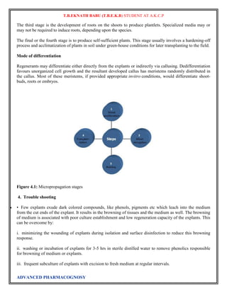 T.B.EKNATH BABU (T.B.E.K.B) STUDENT AT A.K.C.P 
The third stage is the development of roots on the shoots to produce plantlets. Specialized media may or 
may not be required to induce roots, depending upon the species. 
The final or the fourth stage is to produce self-sufficient plants. This stage usually involves a hardening-off 
process and acclimatization of plants in soil under green-house conditions for later transplanting to the field. 
Mode of differentiation 
Regenerants may differentiate either directly from the explants or indirectly via callusing. Dedifferentiation 
favours unorganized cell growth and the resultant developed callus has meristems randomly distributed in 
the callus. Most of these meristems, if provided appropriate invitro conditions, would differentiate shoot-buds, 
roots or embryos. 
Figure 4.1: Micropropagation stages 
4. Trouble shooting 
 • Few explants exude dark colored compounds, like phenols, pigments etc which leach into the medium 
from the cut ends of the explant. It results in the browning of tissues and the medium as well. The browning 
of medium is associated with poor culture establishment and low regeneration capacity of the explants. This 
can be overcome by: 
i. minimizing the wounding of explants during isolation and surface disinfection to reduce this browning 
response. 
ii. washing or incubation of explants for 3-5 hrs in sterile distilled water to remove phenolics responsible 
for browning of medium or explants. 
iii. frequent subculture of explants with excision to fresh medium at regular intervals. 
ADVANCED PHARMACOGNOSY 
 