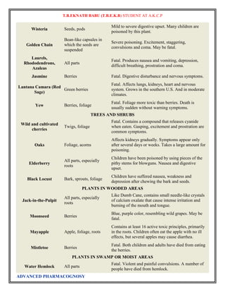 T.B.EKNATH BABU (T.B.E.K.B) STUDENT AT A.K.C.P 
Wisteria Seeds, pods 
ADVANCED PHARMACOGNOSY 
Mild to severe digestive upset. Many children are 
poisoned by this plant. 
Golden Chain 
Bean-like capsules in 
which the seeds are 
suspended 
Severe poisoning. Excitement, staggering, 
convulsions and coma. May be fatal. 
Laurels, 
Rhododendrons, 
Azaleas 
All parts 
Fatal. Produces nausea and vomiting, depression, 
difficult breathing, prostration and coma. 
Jasmine Berries Fatal. Digestive disturbance and nervous symptoms. 
Lantana Camara (Red 
Sage) 
Green berries 
Fatal. Affects lungs, kidneys, heart and nervous 
system. Grows in the southern U.S. And in moderate 
climates. 
Yew Berries, foliage 
Fatal. Foliage more toxic than berries. Death is 
usually sudden without warning symptoms. 
TREES AND SHRUBS 
Wild and cultivated 
cherries 
Twigs, foliage 
Fatal. Contains a compound that releases cyanide 
when eaten. Gasping, excitement and prostration are 
common symptoms. 
Oaks Foliage, acorns 
Affects kidneys gradually. Symptoms appear only 
after several days or weeks. Takes a large amount for 
poisoning. 
Elderberry 
All parts, especially 
roots 
Children have been poisoned by using pieces of the 
pithy stems for blowguns. Nausea and digestive 
upset. 
Black Locust Bark, sprouts, foliage 
Children have suffered nausea, weakness and 
depression after chewing the bark and seeds. 
PLANTS IN WOODED AREAS 
Jack-in-the-Pulpit 
All parts, especially 
roots 
Like Dumb Cane, contains small needle-like crystals 
of calcium oxalate that cause intense irritation and 
burning of the mouth and tongue. 
Moonseed Berries 
Blue, purple color, resembling wild grapes. May be 
fatal. 
Mayapple Apple, foliage, roots 
Contains at least 16 active toxic principles, primarily 
in the roots. Children often eat the apple with no ill 
effects, but several apples may cause diarrhea. 
Mistletoe Berries 
Fatal. Both children and adults have died from eating 
the berries. 
PLANTS IN SWAMP OR MOIST AREAS 
Water Hemlock All parts 
Fatal. Violent and painful convulsions. A number of 
people have died from hemlock. 
 