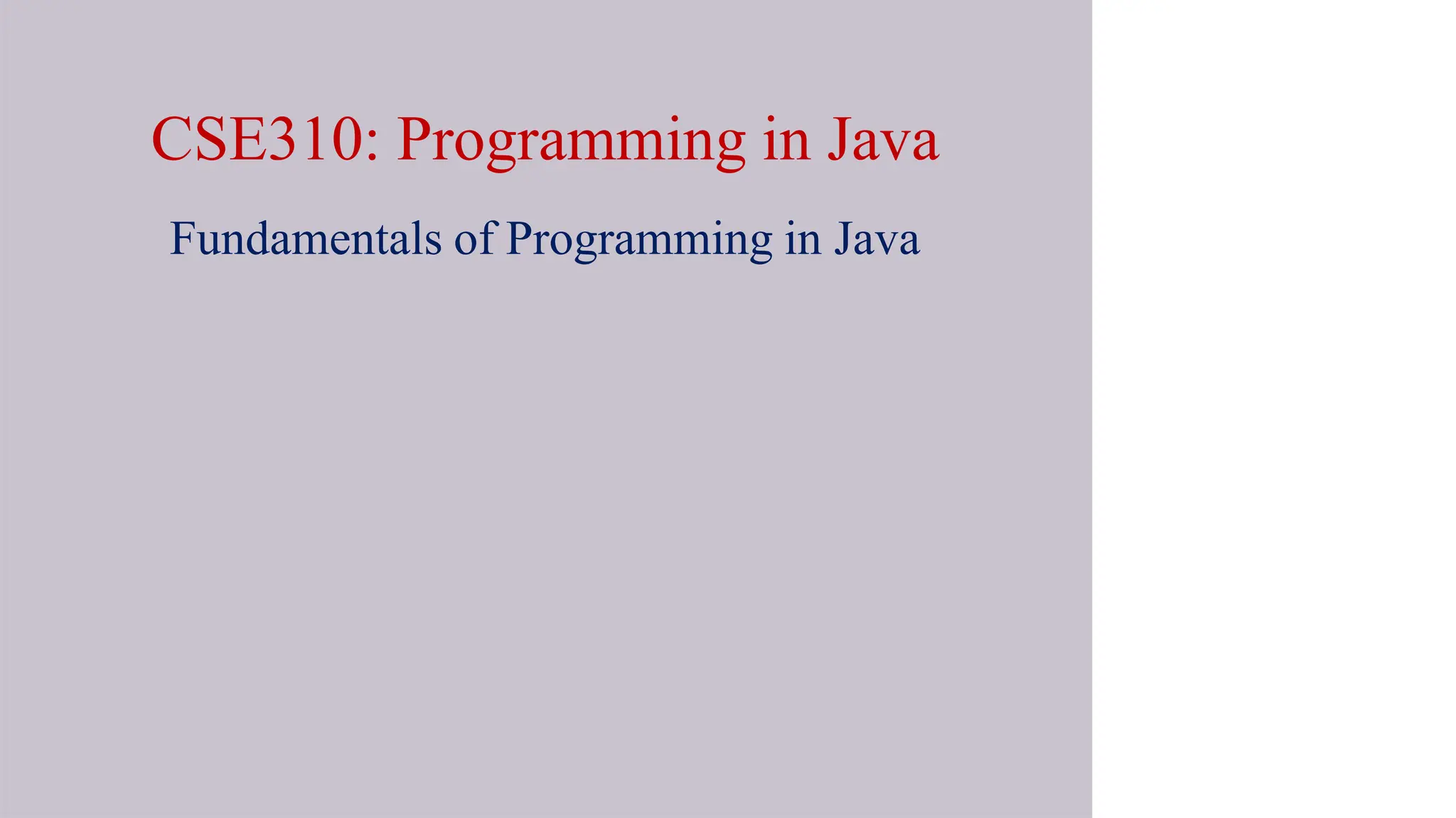 CSE310: Programming in Java
Fundamentals of Programming in Java
 