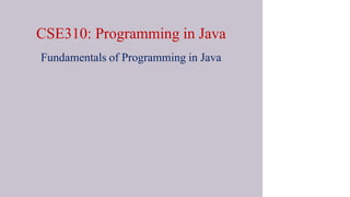CSE310: Programming in Java
Fundamentals of Programming in Java
 