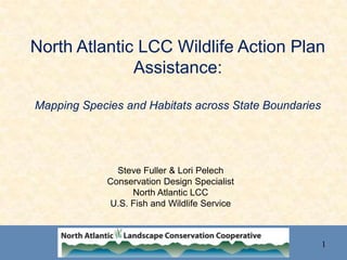 North Atlantic LCC Wildlife Action Plan
Assistance:
Mapping Species and Habitats across State Boundaries
Steve Fuller & Lori Pelech
Conservation Design Specialist
North Atlantic LCC
U.S. Fish and Wildlife Service
1
 