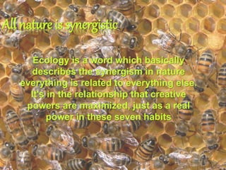 All nature is synergistic
Ecology is a word which basically
describes the synergism in nature
everything is related to everything else.
It's in the relationship that creative
powers are maximized, just as a real
power in these seven habits
 
