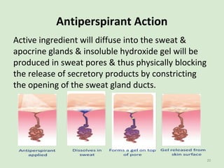 Antiperspirant Action
Active ingredient will diffuse into the sweat &
apocrine glands & insoluble hydroxide gel will be
pr...