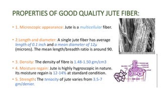 PROPERTIES OF GOOD QUALITY JUTE FIBER:
• 1. Microscopic appearance: Jute is a multicellular fiber.
• 2.Length and diameter: A single jute fiber has average
length of 0.1 inch and a mean diameter of 12µ
(microns). The mean length/breadth ratio is around 90.
• 3. Density: The density of fibre is 1.48-1.50 gm/cm3
• 4. Moisture regain: Jute is highly hygroscopic in nature.
Its moisture regain is 12-14% at standard condition.
• 5. Strength: The tenacity of jute varies from 3.5-7
gm/denier.
 