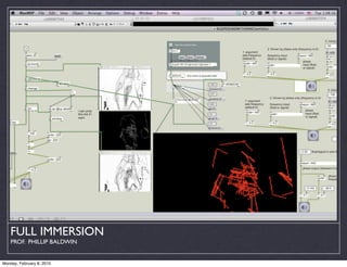 FULL IMMERSION
    PROF. PHILLIP BALDWIN


Monday, February 8, 2010
 