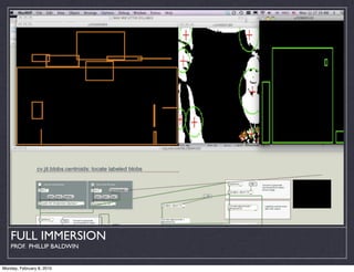 FULL IMMERSION
    PROF. PHILLIP BALDWIN


Monday, February 8, 2010
 