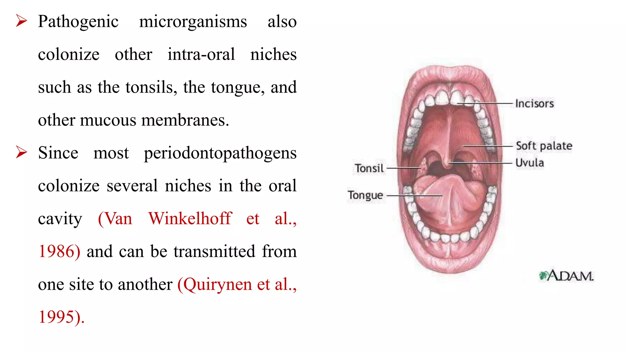 Full mouth disinfection | PPT