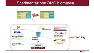 Sperimentazione DMC biomassa
DATI
AMMINISTRATIVI
BASE DATI
REGIONALE
Microdati delle
rilevazioni Istat
 