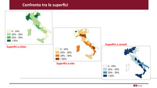 Confronto tra le superfici
Superfici a olivo
Superfici a vite
Superfici a cereali
 