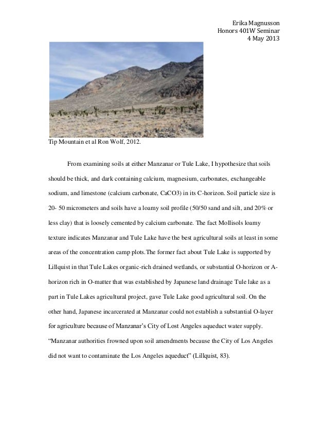 Research essay concentration camps