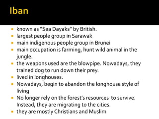  known as “Sea Dayaks” by British.
 largest people group in Sarawak
 main indigenous people group in Brunei
 main occupation is farming, hunt wild animal in the
jungle.
 the weapons used are the blowpipe. Nowadays, they
trained dog to run down their prey.
 lived in longhouses.
 Nowadays, begin to abandon the longhouse style of
living
 No longer rely on the forest’s resources to survive.
Instead, they are migrating to the cities.
 they are mostly Christians and Muslim
 