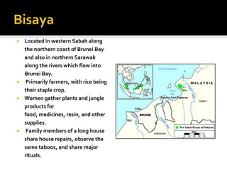  Located in western Sabah along
the northern coast of Brunei Bay
and also in northern Sarawak
along the rivers which flow into
Brunei Bay.
 Primarily farmers, with rice being
their staple crop.
 Women gather plants and jungle
products for
food, medicines, resin, and other
supplies.
 Family members of a long house
share house repairs, observe the
same taboos, and share major
rituals.
 