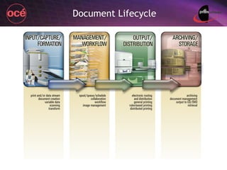 Document Lifecycle 