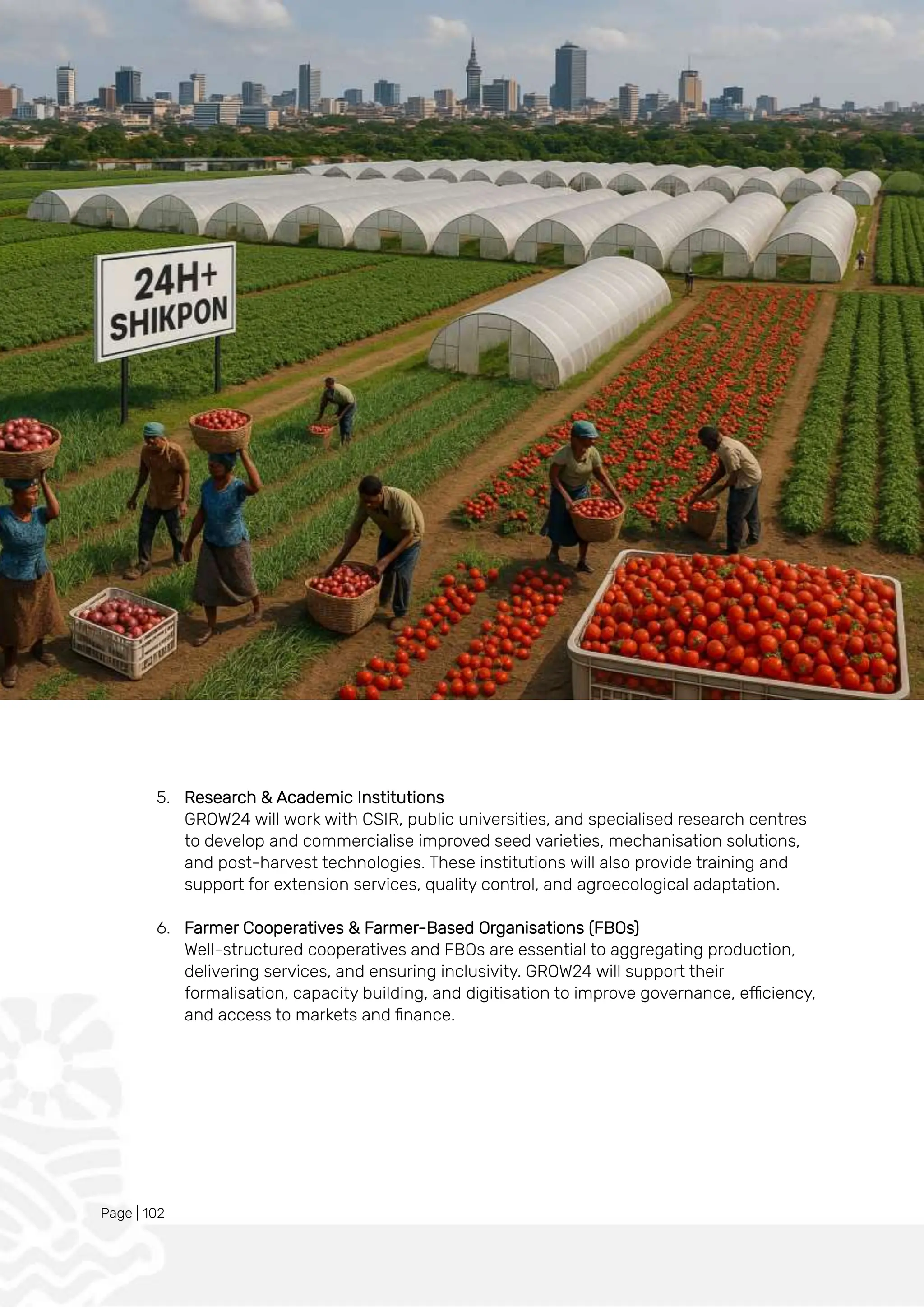 Page | 102
5. Research & Academic Institutions
GROW24 will work with CSIR, public universities, and specialised research centres
to develop and commercialise improved seed varieties, mechanisation solutions,
and post-harvest technologies. These institutions will also provide training and
support for extension services, quality control, and agroecological adaptation.
6. Farmer Cooperatives & Farmer-Based Organisations (FBOs)
Well-structured cooperatives and FBOs are essential to aggregating production,
delivering services, and ensuring inclusivity. GROW24 will support their
formalisation, capacity building, and digitisation to improve governance, efficiency,
and access to markets and finance.
 