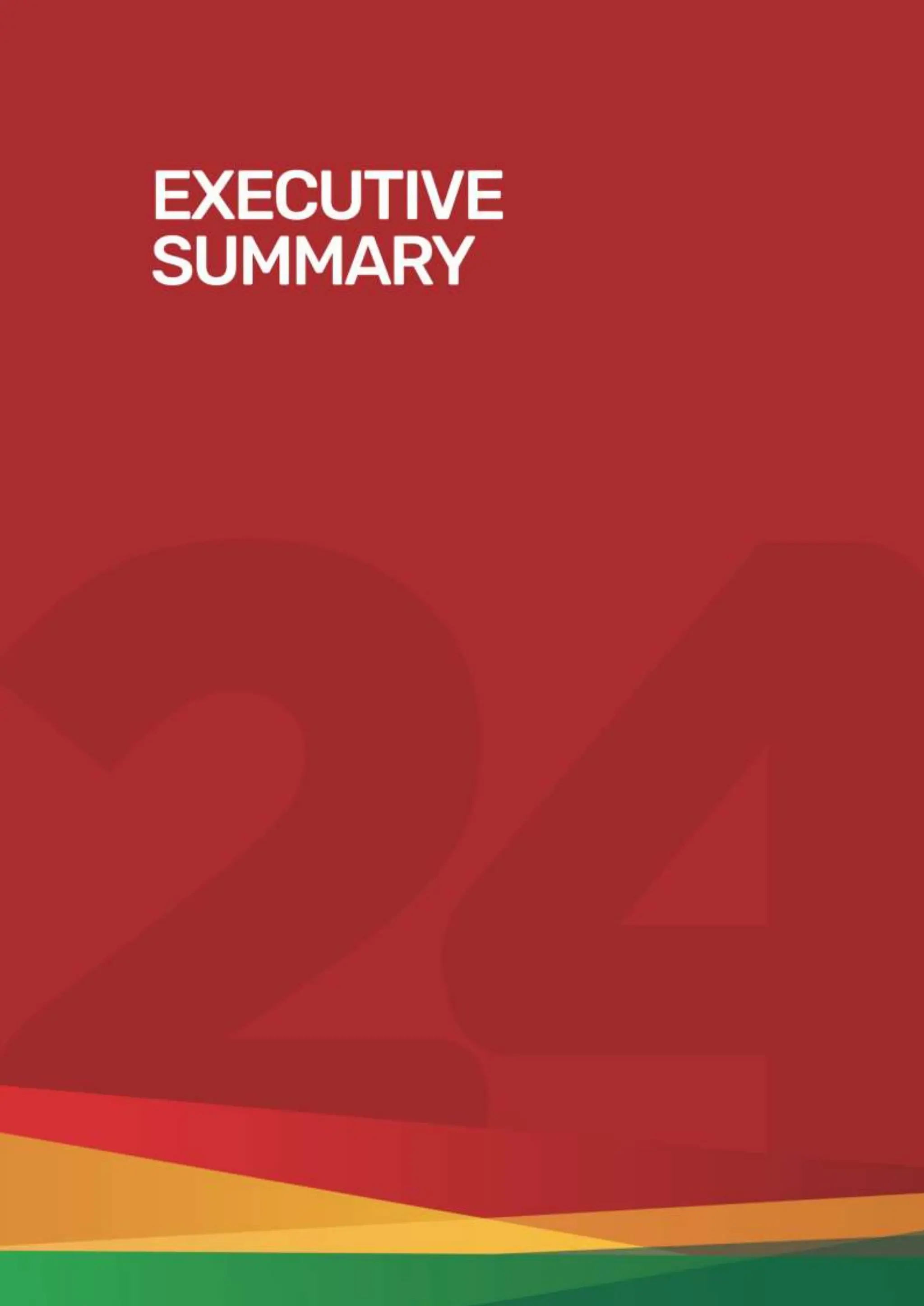 Page | 11
EXECUTIVE SUMMARY
 