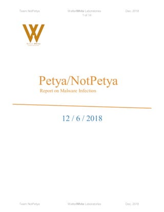 Team NotPetya WalterWhite Laboratories Dec. 2018
1 of 14
Team NotPetya WalterWhite Laboratories Dec. 2018
Petya/NotPetya
Report on Malware Infection
12 / 6 / 2018
 