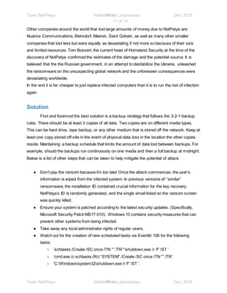 Full report final for NotPetya | DOCX